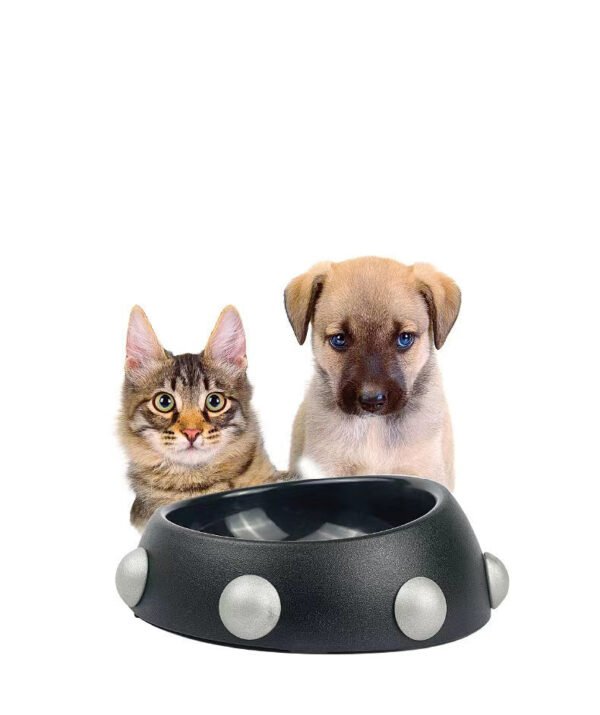 Raddix Pet Feeding Bowl - Rex