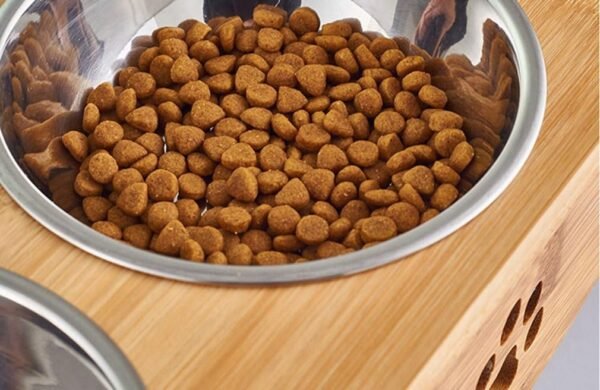 Juno Bamboo Stand Feeding Bowl - Rex