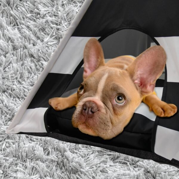 Rex-Pyramid comfy pet bed