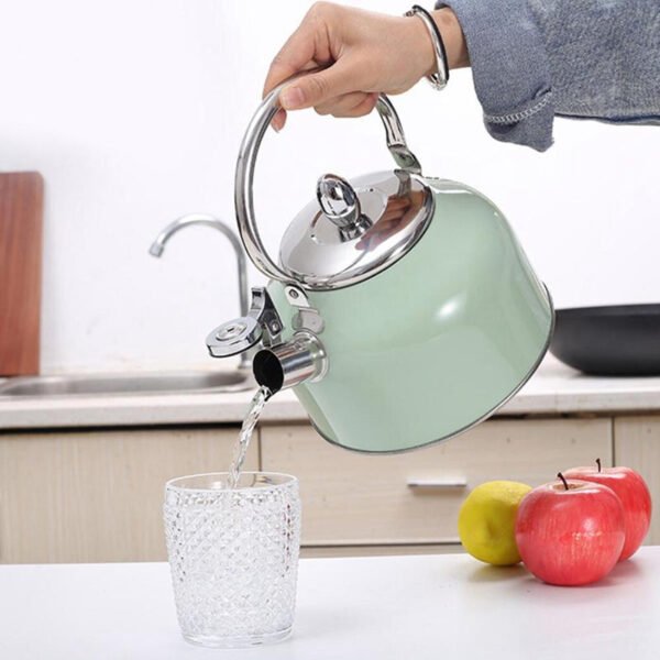 Fine Living Stove Top Kettle2.7L - Mint