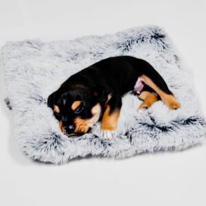 Plush Snuggle Pet Pad