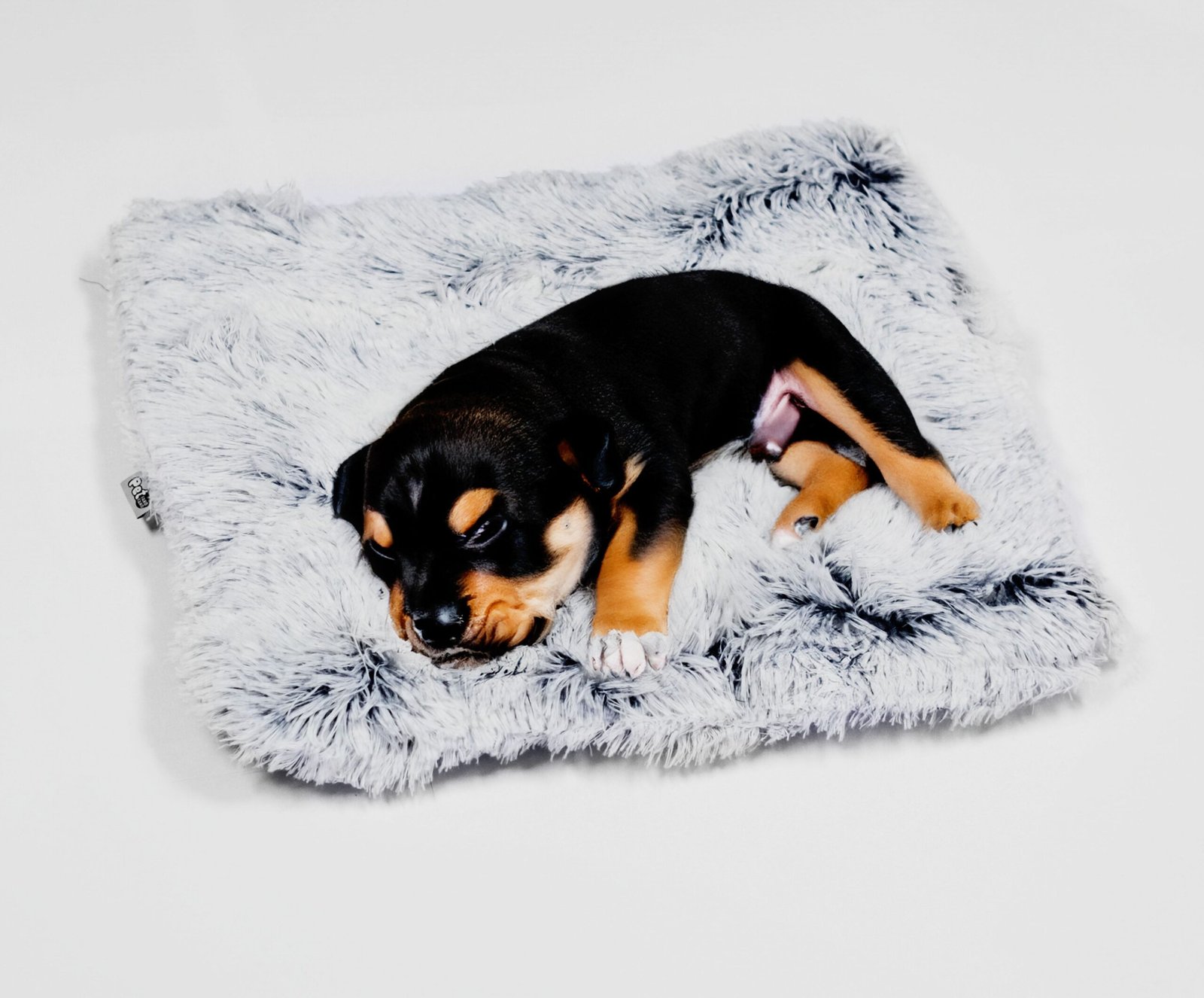 Plush Snuggle Pet Pad