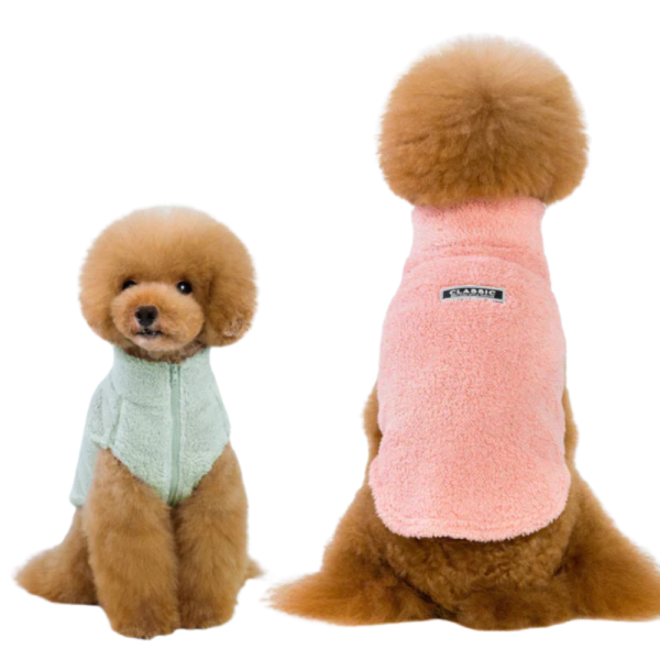 Nuzzle Dog Jacket - Small - Grey - Rex