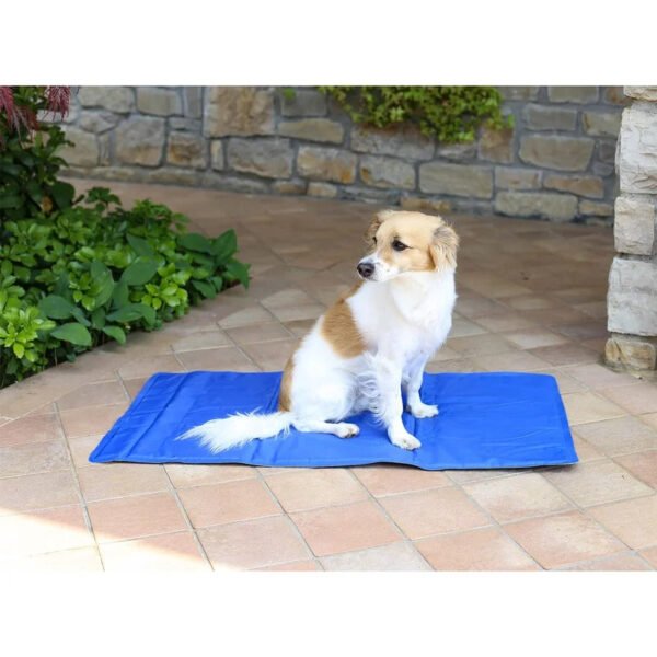 Pet Cooling Mat 40 x 50 cm Medium - Rex