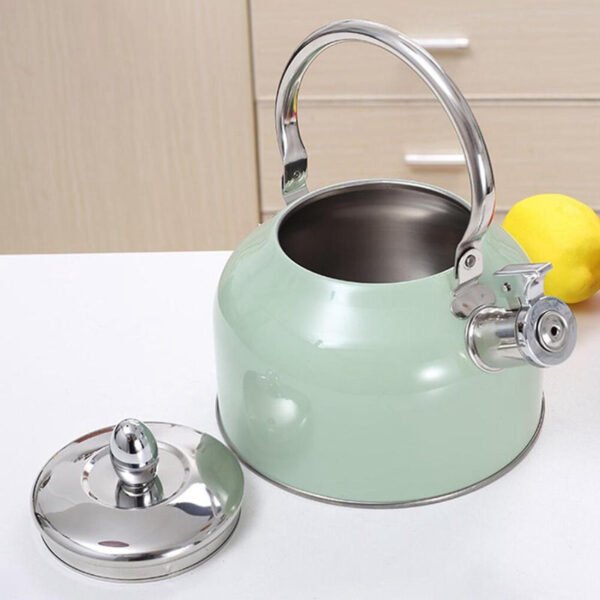 Fine Living Stove Top Kettle2.7L - Mint