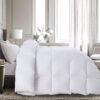 Supreme Feather Down Comforter - King - Fine Living