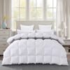 Supreme Feather Down Comforter - King - Fine Living