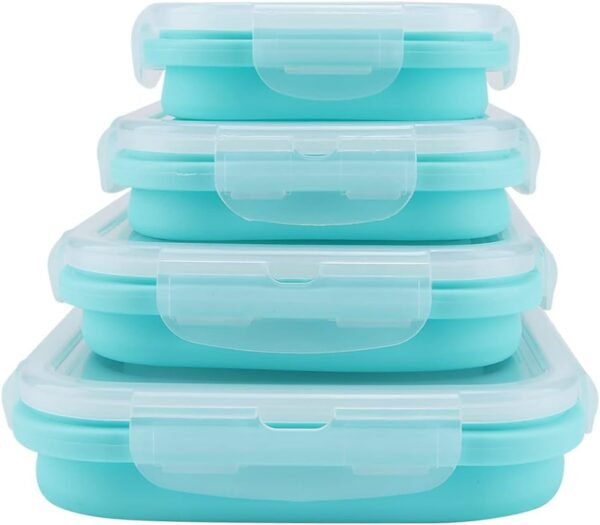 Food Preserve Storage Box - Fine Living - Pink