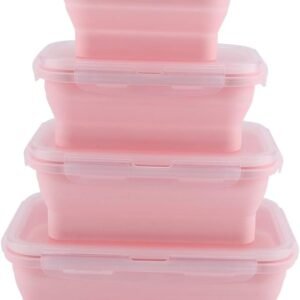 Food Preserve Storage Box - Fine Living - Pink