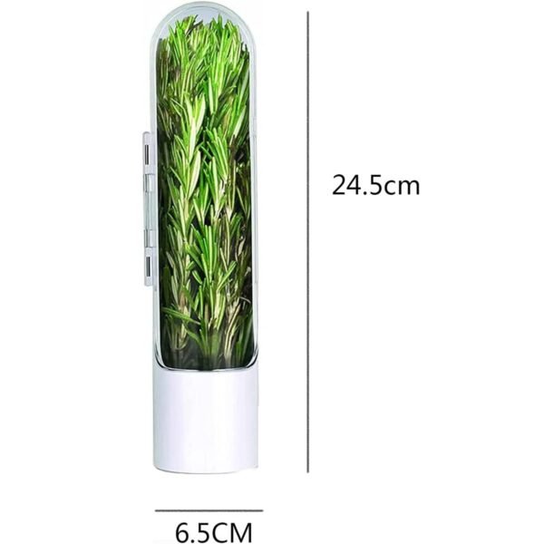 Fresh Herb Saver - Fine Living