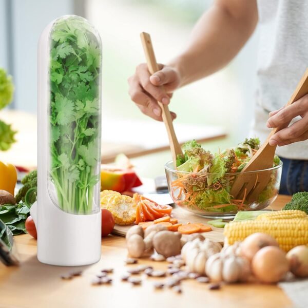 Best Fresh Herb Saver | Fine Living | Keep Herbs Fresh Longer