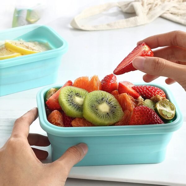 Food Preserve Storage Box - Fine Living - Pink