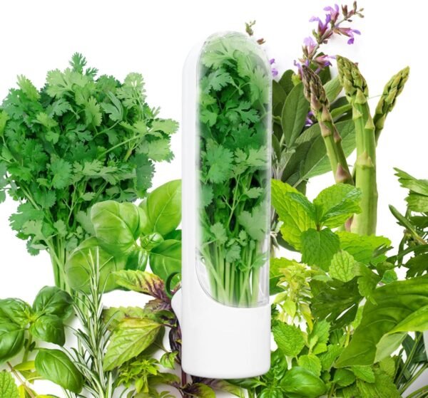 Fresh Herb Saver - Fine Living