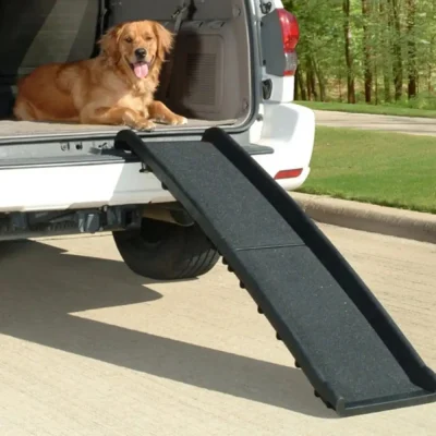 Dog-Ramp-1