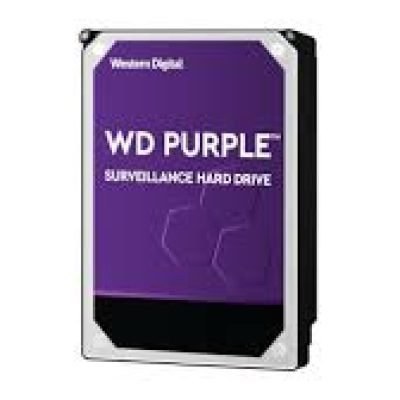 Maximize Security | Western Digital Surveillance 4TB HDD